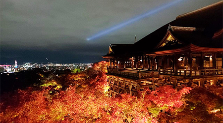 紅葉が美しい秋の夜間拝観