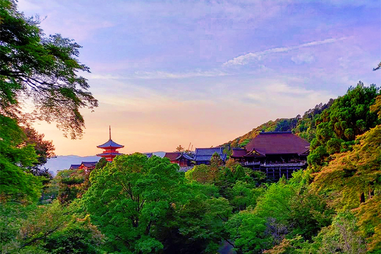 夏の清水寺